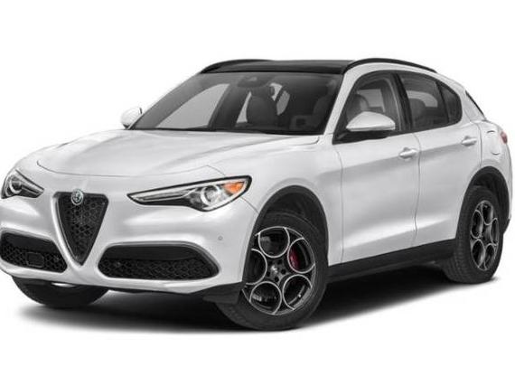 ALFA ROMEO STELVIO 2022 ZASPAKBN6N7D25483 image